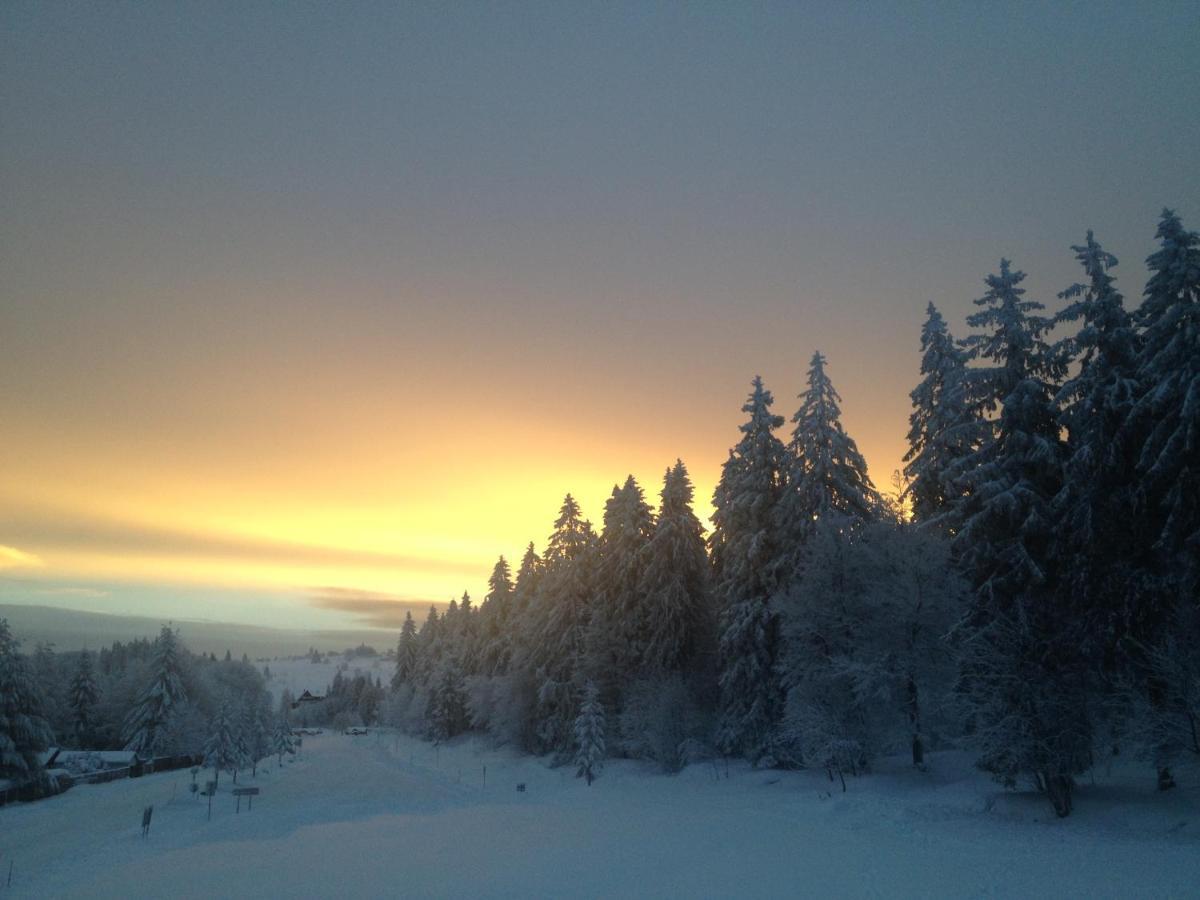 Les Gites De La Serva - Champ Du Feu - Montagnes- Vosges Бельмон Экстерьер фото