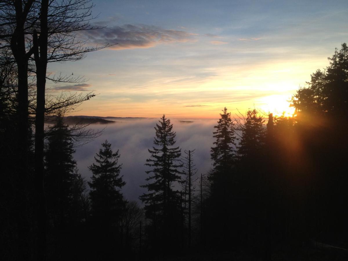Les Gites De La Serva - Champ Du Feu - Montagnes- Vosges Бельмон Экстерьер фото