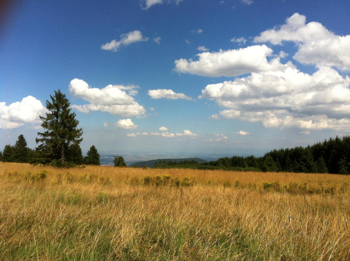 Les Gites De La Serva - Champ Du Feu - Montagnes- Vosges Бельмон Экстерьер фото